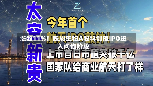 涨超11%!映恩生物A股科创板IPO进入问询阶段