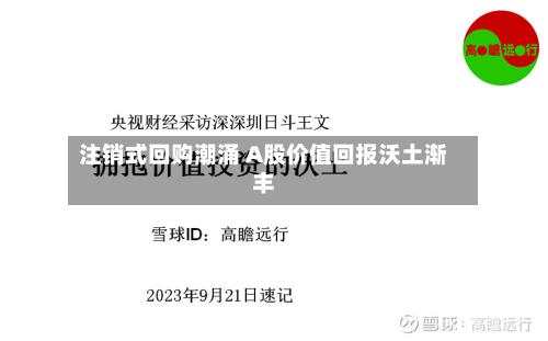 注销式回购潮涌 A股价值回报沃土渐丰-第2张图片
