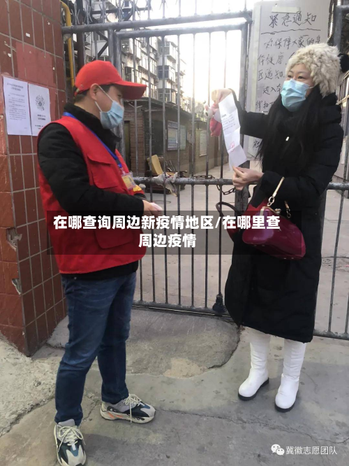 在哪查询周边新疫情地区/在哪里查周边疫情