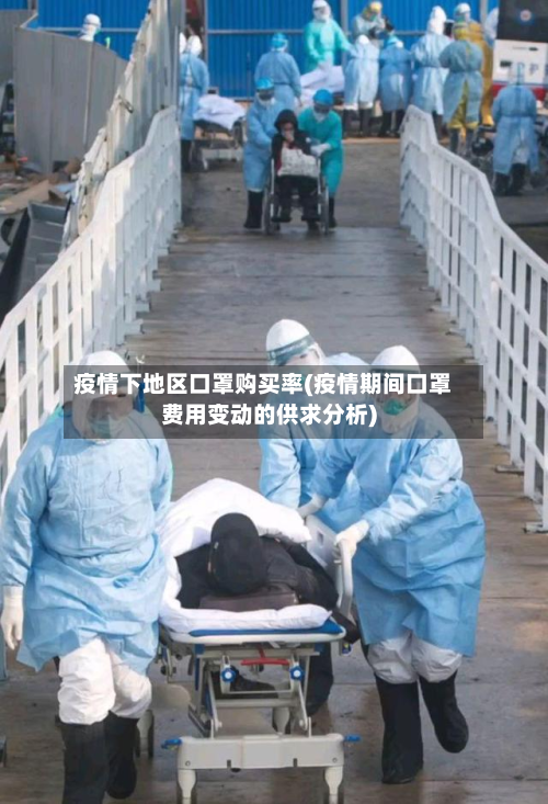 疫情下地区口罩购买率(疫情期间口罩费用变动的供求分析)
