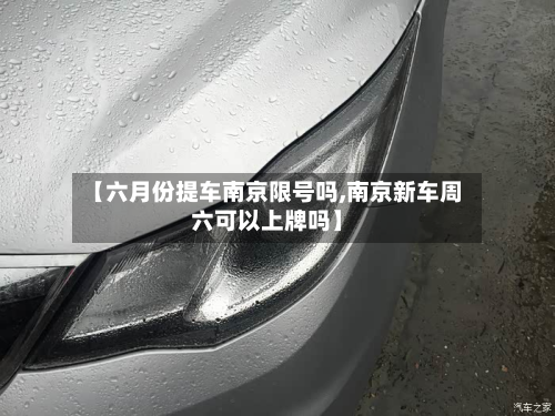 【六月份提车南京限号吗,南京新车周六可以上牌吗】-第2张图片