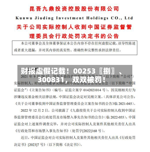 财报虚假记载！00253〖捌〗、300831，双双被罚！