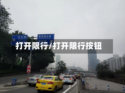 打开限行/打开限行按钮