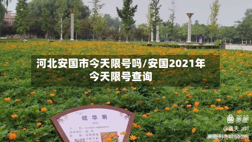 河北安国市今天限号吗/安国2021年今天限号查询-第2张图片