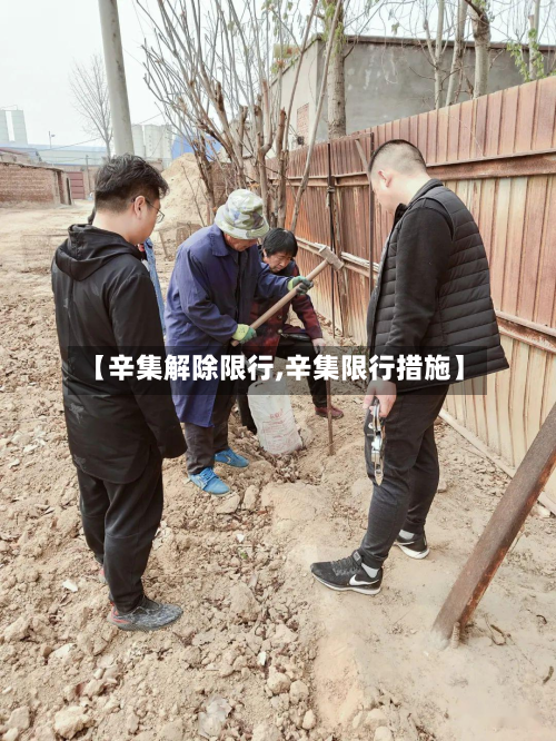 【辛集解除限行,辛集限行措施】