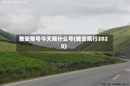 雅安限号今天限什么号(雅安限行2020)