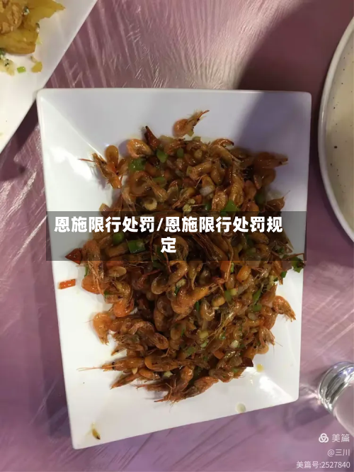 恩施限行处罚/恩施限行处罚规定