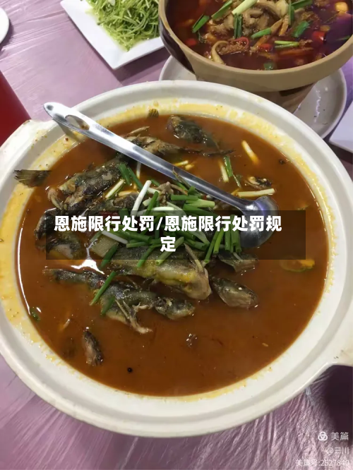 恩施限行处罚/恩施限行处罚规定-第2张图片