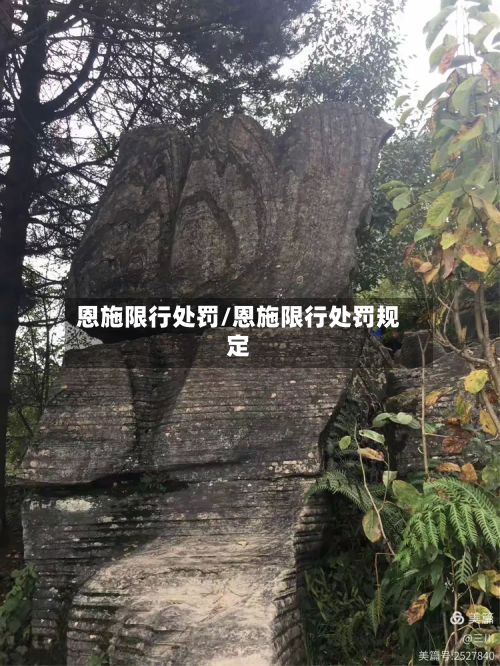 恩施限行处罚/恩施限行处罚规定-第3张图片