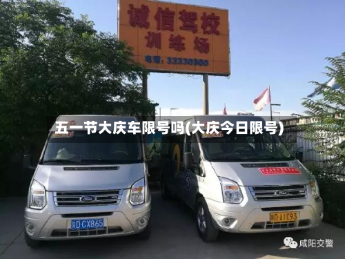 五一节大庆车限号吗(大庆今日限号)-第3张图片