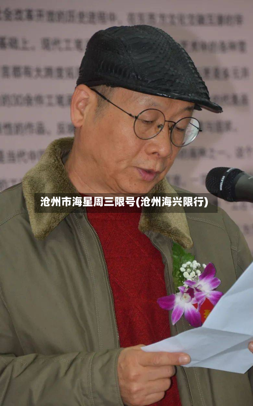 沧州市海星周三限号(沧州海兴限行)-第2张图片