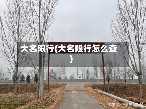 大名限行(大名限行怎么查)-第3张图片