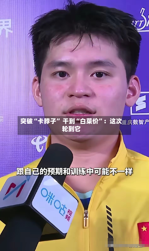 突破“卡脖子” 干到“白菜价	”：这次轮到它-第2张图片