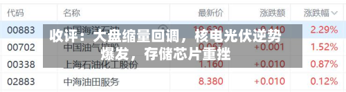 收评：大盘缩量回调，核电光伏逆势爆发，存储芯片重挫-第2张图片