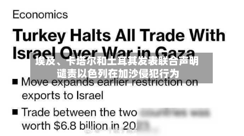 埃及、卡塔尔和土耳其发表联合声明 谴责以色列在加沙侵犯行为-第2张图片
