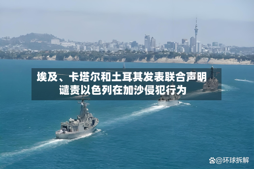 埃及	、卡塔尔和土耳其发表联合声明 谴责以色列在加沙侵犯行为-第3张图片