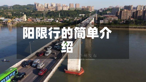 阳限行的简单介绍-第2张图片