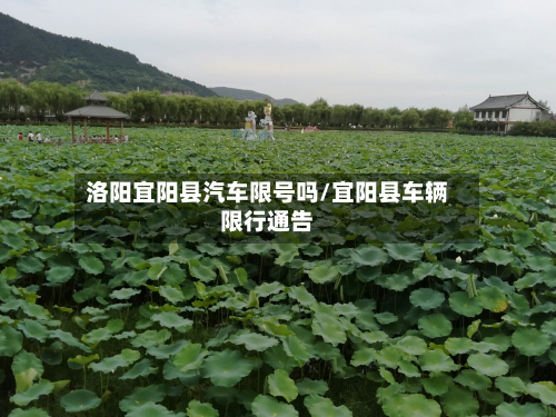洛阳宜阳县汽车限号吗/宜阳县车辆限行通告-第2张图片