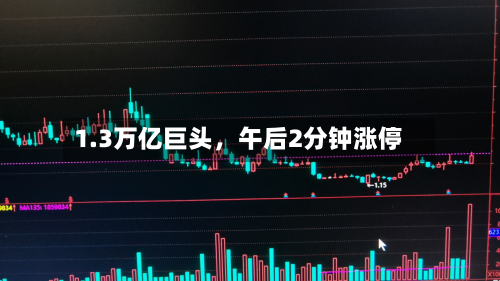 1.3万亿巨头	，午后2分钟涨停-第3张图片