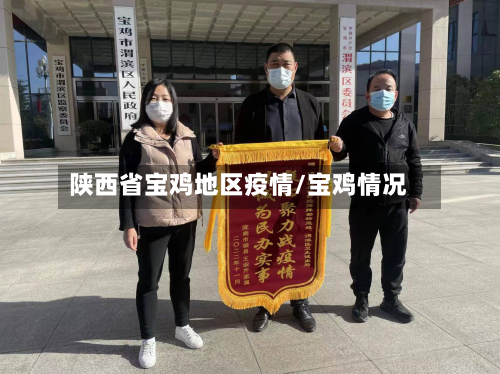 陕西省宝鸡地区疫情/宝鸡情况-第3张图片