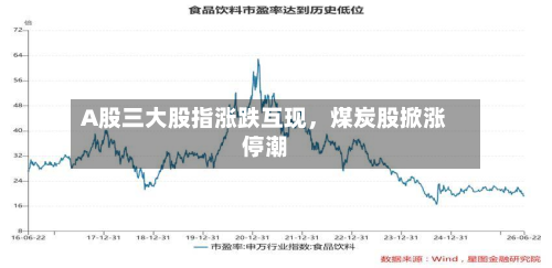 A股三大股指涨跌互现，煤炭股掀涨停潮-第2张图片