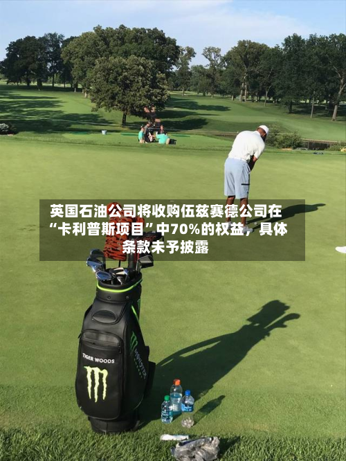 英国石油公司将收购伍兹赛德公司在“卡利普斯项目”中70%的权益，具体条款未予披露-第2张图片