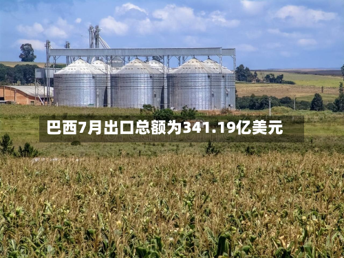 巴西7月出口总额为341.19亿美元