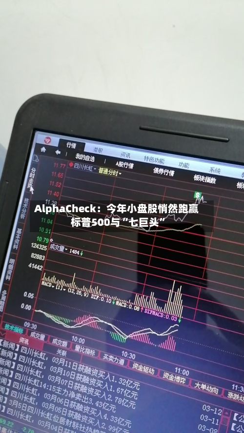 AlphaCheck：今年小盘股悄然跑赢标普500与“七巨头	”-第2张图片