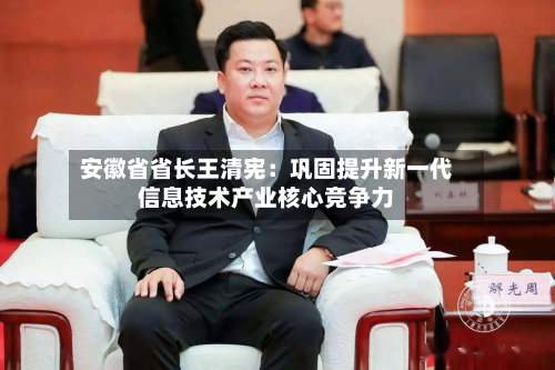 安徽省省长王清宪：巩固提升新一代信息技术产业核心竞争力-第3张图片