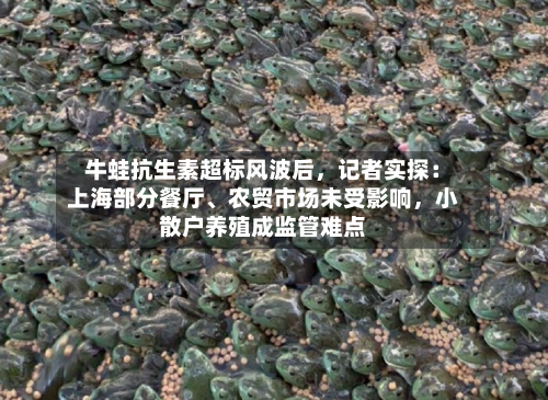 牛蛙抗生素超标风波后，记者实探：上海部分餐厅	、农贸市场未受影响，小散户养殖成监管难点-第3张图片
