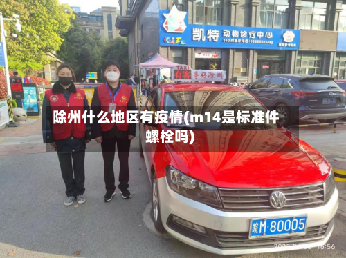 除州什么地区有疫情(m14是标准件螺栓吗)-第2张图片