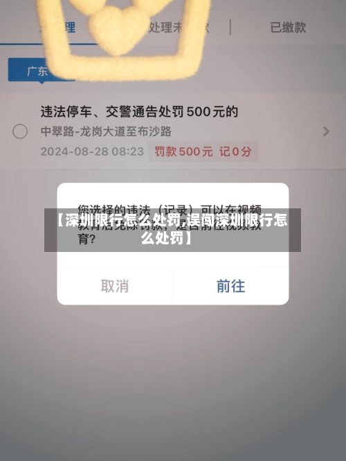 【深圳限行怎么处罚,误闯深圳限行怎么处罚】