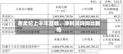 寒武纪上半年营收、净利润均同比翻倍