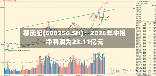 寒武纪(688256.SH)：2026年中报净利润为23.11亿元