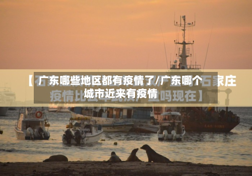 广东哪些地区都有疫情了/广东哪个城市近来有疫情