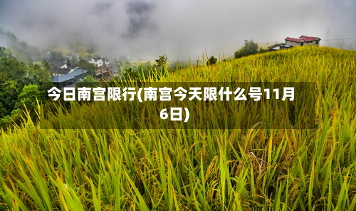今日南宫限行(南宫今天限什么号11月6日)-第3张图片