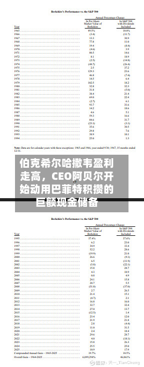 伯克希尔哈撒韦盈利走高	，CEO阿贝尔开始动用巴菲特积攒的巨额现金储备-第1张图片