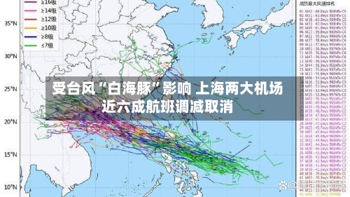 受台风“白海豚	”影响 上海两大机场近六成航班调减取消-第2张图片