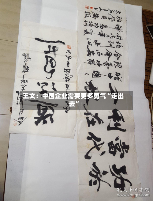 王文：中国企业需要更多勇气“走出去”