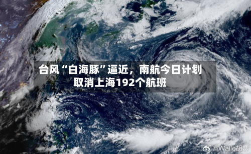 台风“白海豚	”逼近，南航今日计划取消上海192个航班-第1张图片