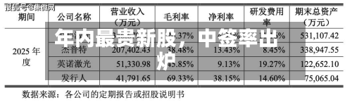 年内最贵新股，中签率出炉-第3张图片
