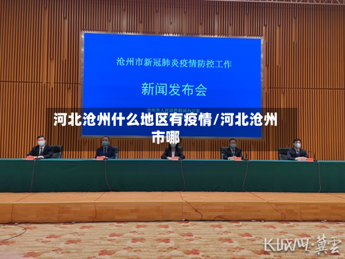 河北沧州什么地区有疫情/河北沧州市哪-第2张图片