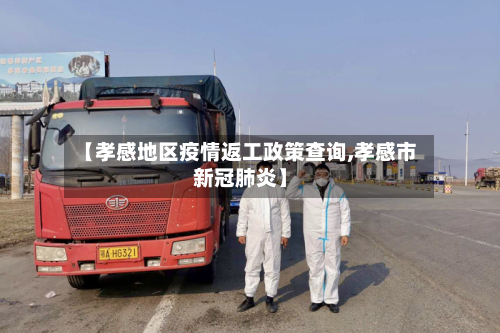 【孝感地区疫情返工政策查询,孝感市新冠肺炎】-第3张图片