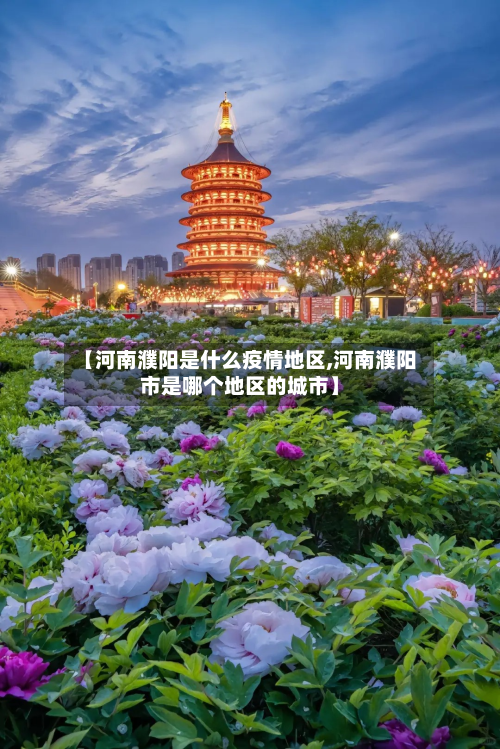 【河南濮阳是什么疫情地区,河南濮阳市是哪个地区的城市】-第2张图片