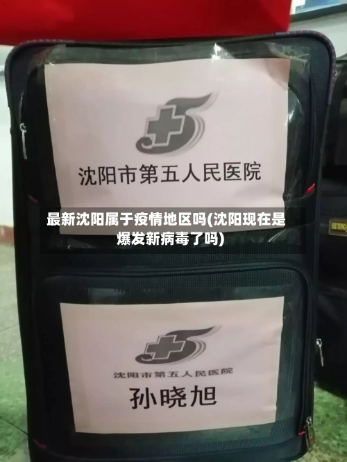 最新沈阳属于疫情地区吗(沈阳现在是爆发新病毒了吗)