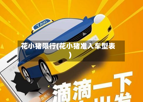 花小猪限行(花小猪准入车型表)