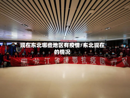 现在东北哪些地区有疫情/东北现在的情况-第3张图片