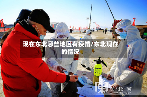 现在东北哪些地区有疫情/东北现在的情况-第2张图片