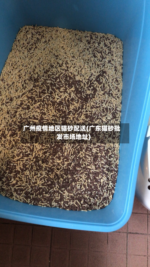 广州疫情地区猫砂配送(广东猫砂批发市场地址)-第2张图片