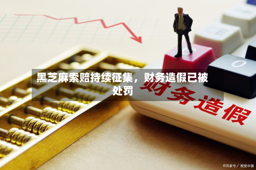 黑芝麻索赔持续征集，财务造假已被处罚-第3张图片
